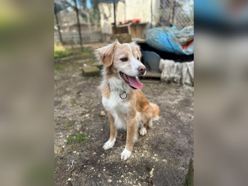 Haribo - Der kleine Held mit der zerbrochenen Kette