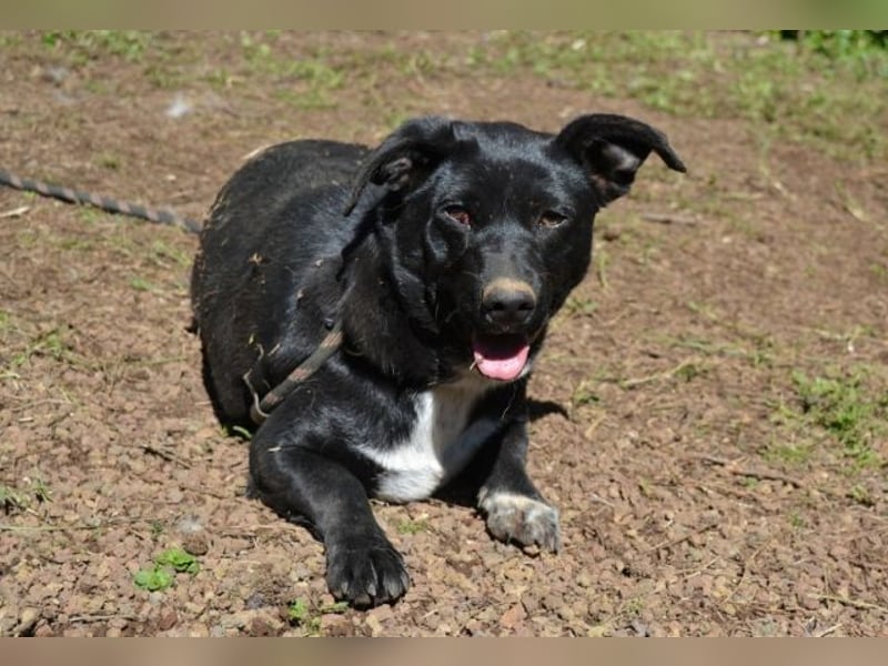 Nettie - was ne Wundertüte!