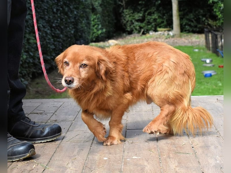 Telyr - "Test, Test, Test"