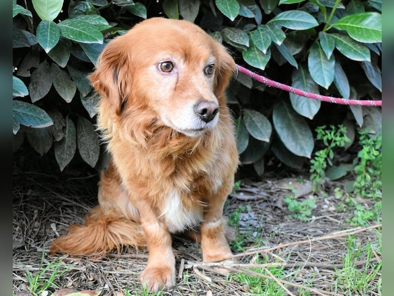 Telyr - "Test, Test, Test"