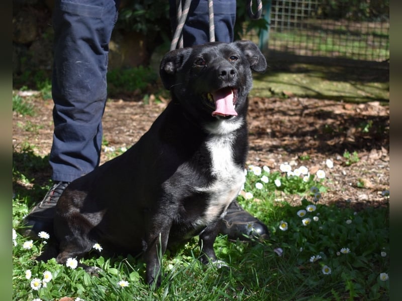 Nettie - was ne Wundertüte!