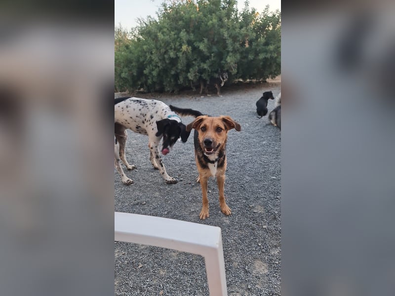 Eddy - Komm hervor, kleiner Eddy