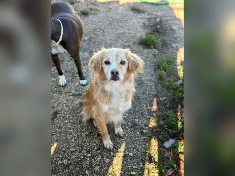 Haribo - Der kleine Held mit der zerbrochenen Kette