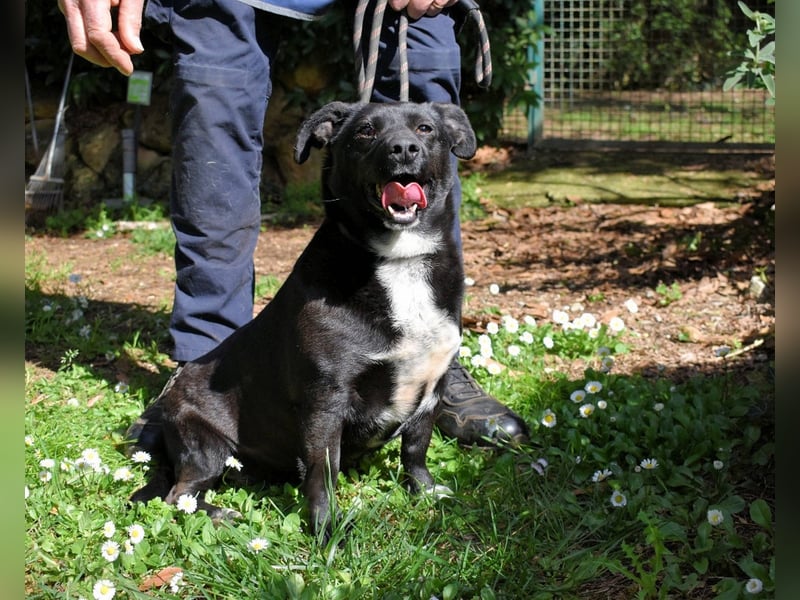 Nettie - was ne Wundertüte!