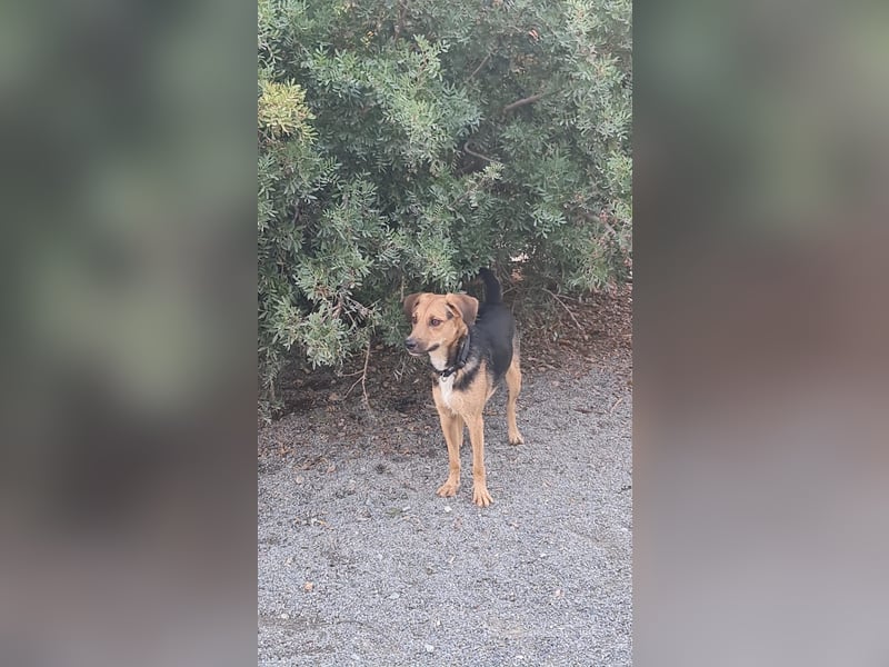 Eddy - Komm hervor, kleiner Eddy