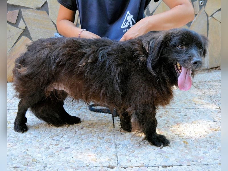 Gingy - Glühwürmchen-Power