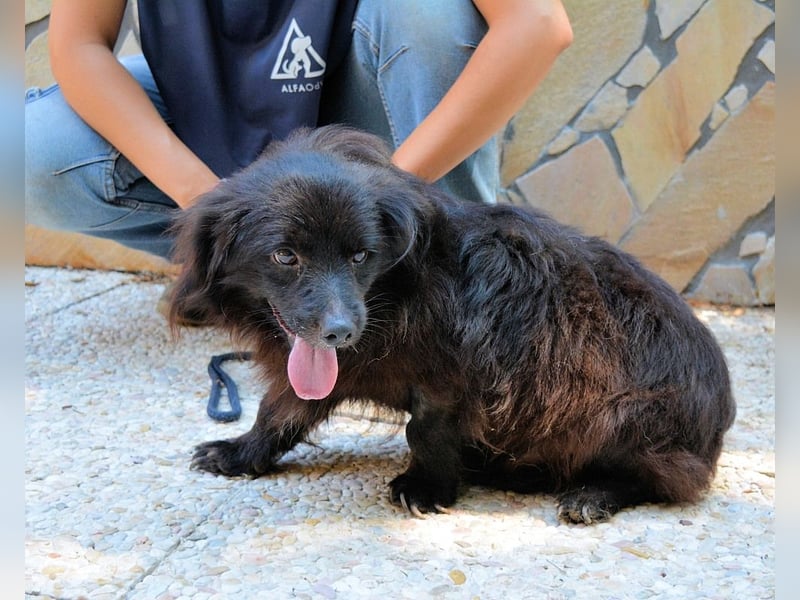 Gingy - Glühwürmchen-Power