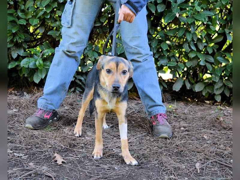 Coryelle - Wenn Schutz-Glitzer plötzlich "Pling" macht