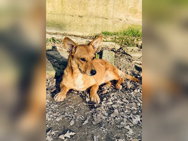 Soraia - unsere kleine Durchhalte-Heldin