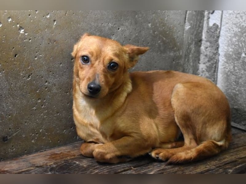 Thamira - " Nicht einmal...!"