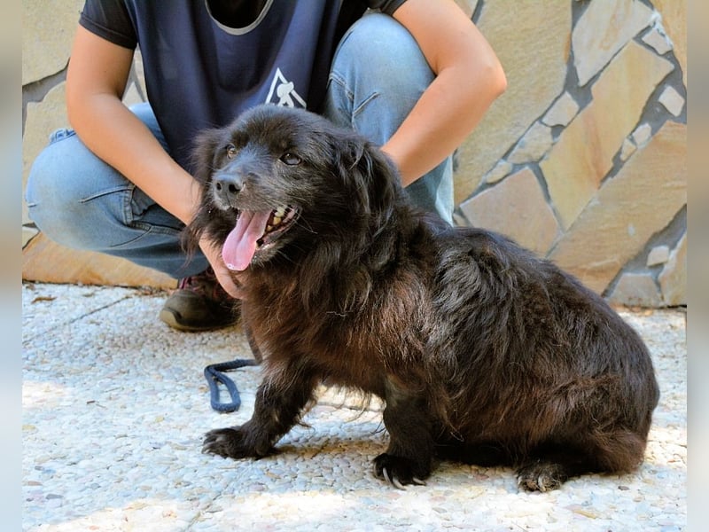 Gingy - Glühwürmchen-Power