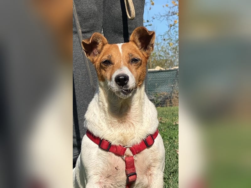 Rose - Wonneproppen möchte nun endlich leben