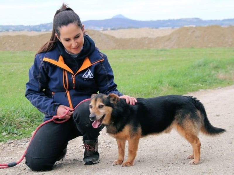 Macky - SOS - und sein Weg zurück ins Leben
