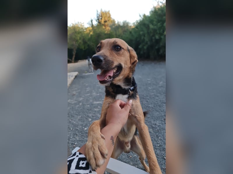 Eddy - Komm hervor, kleiner Eddy