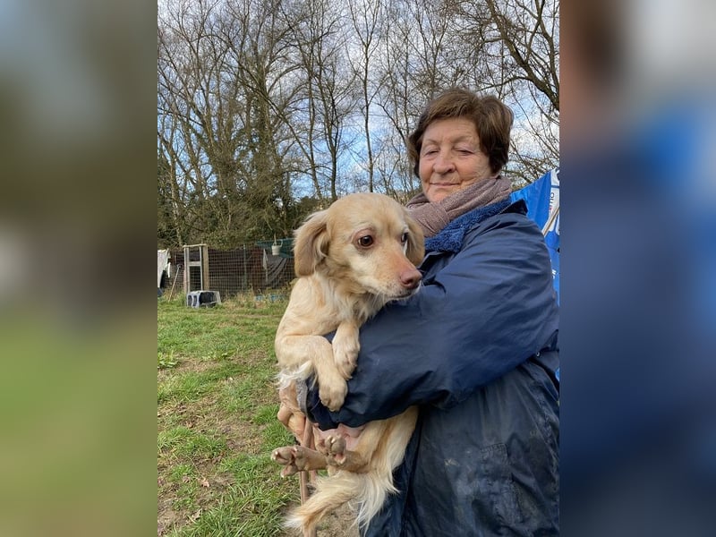 Rona - Vom Dunkel ans Licht