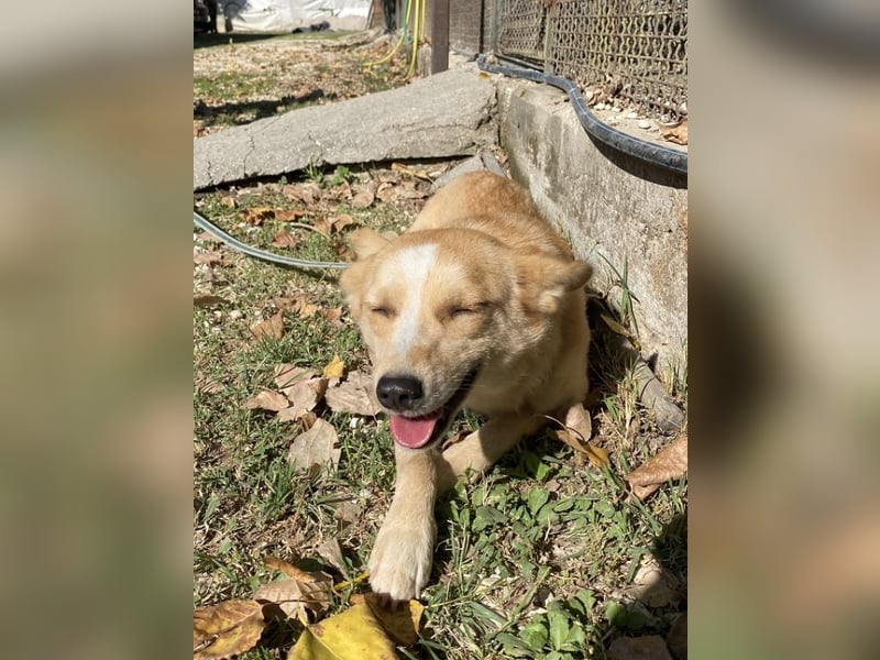 Valentina - Mit blitzblauen Augen die Welt neu entdecken