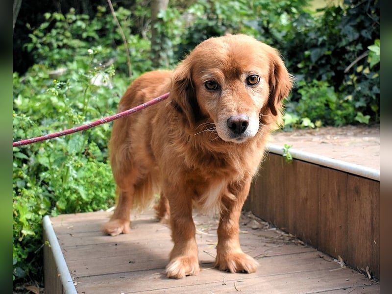 Telyr - "Test, Test, Test"