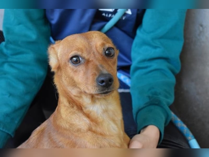 Thamira - " Nicht einmal...!"