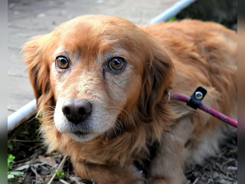 Telyr - "Test, Test, Test"