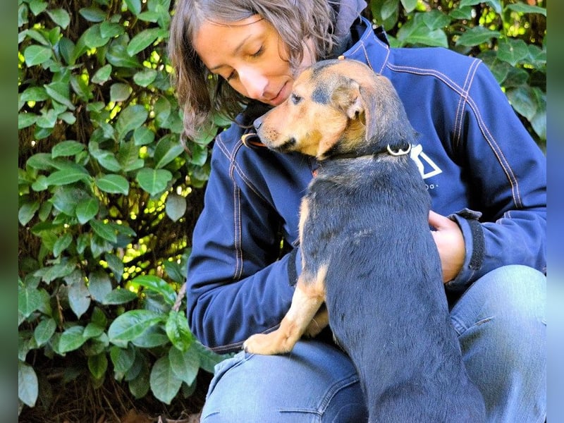 Coryelle - Wenn Schutz-Glitzer plötzlich "Pling" macht