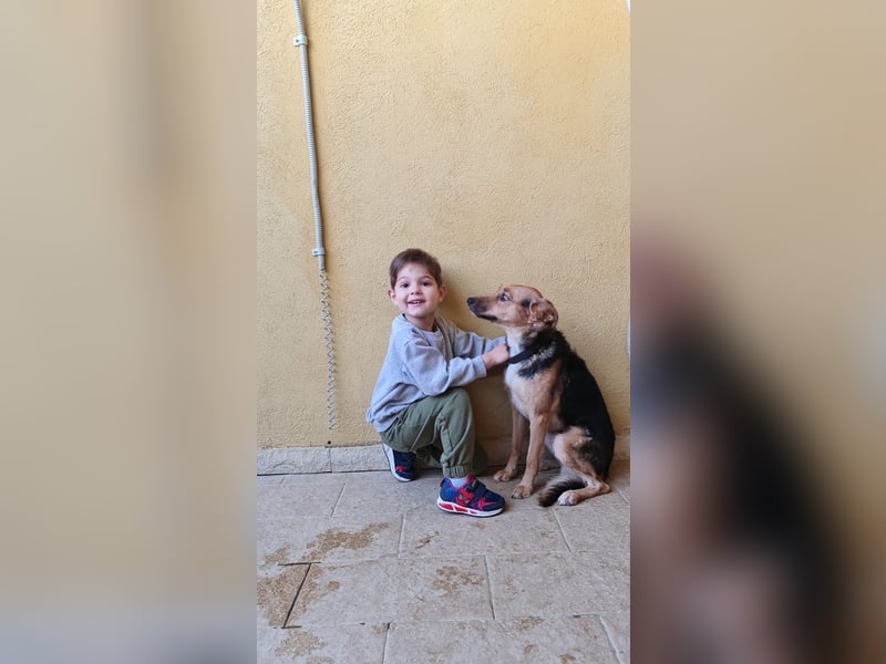 Eddy - Komm hervor, kleiner Eddy