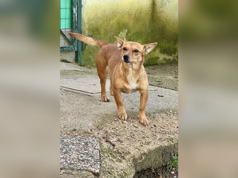 Soraia - unsere kleine Durchhalte-Heldin