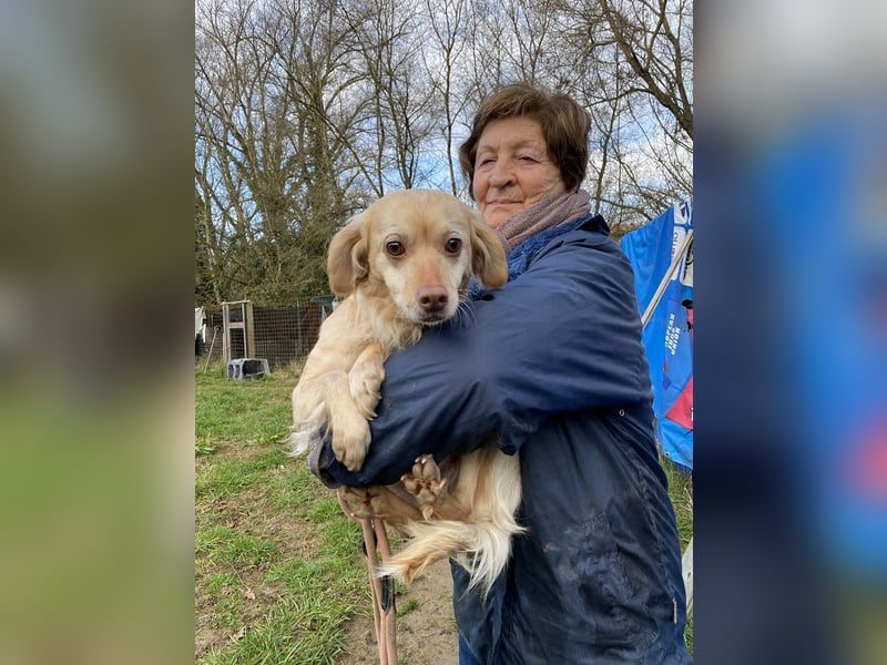 Rona - Vom Dunkel ans Licht