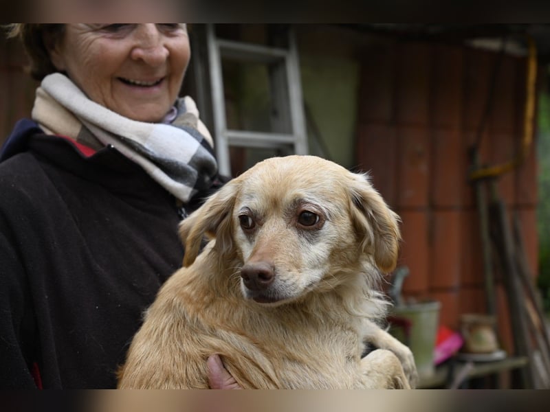 Rona - Vom Dunkel ans Licht