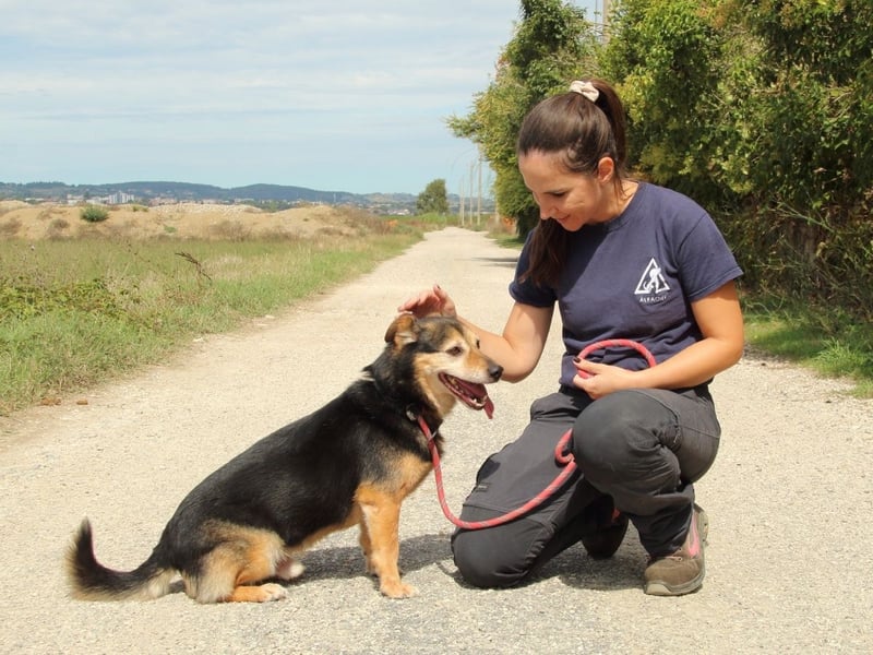 Macky - SOS - und sein Weg zurück ins Leben