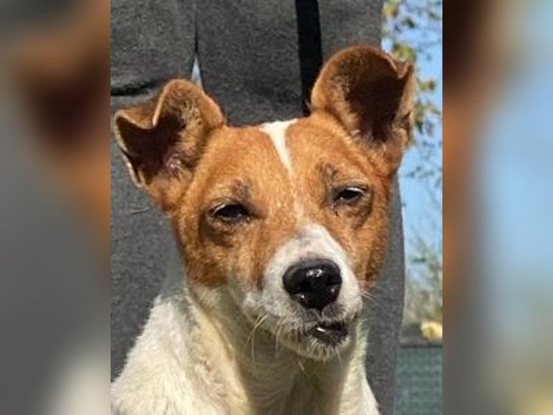 Rose - Wonneproppen möchte nun endlich leben