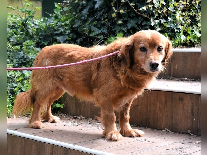 Telyr - "Test, Test, Test"