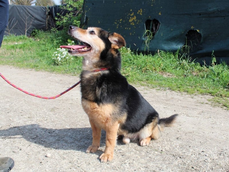 Macky - SOS - und sein Weg zurück ins Leben