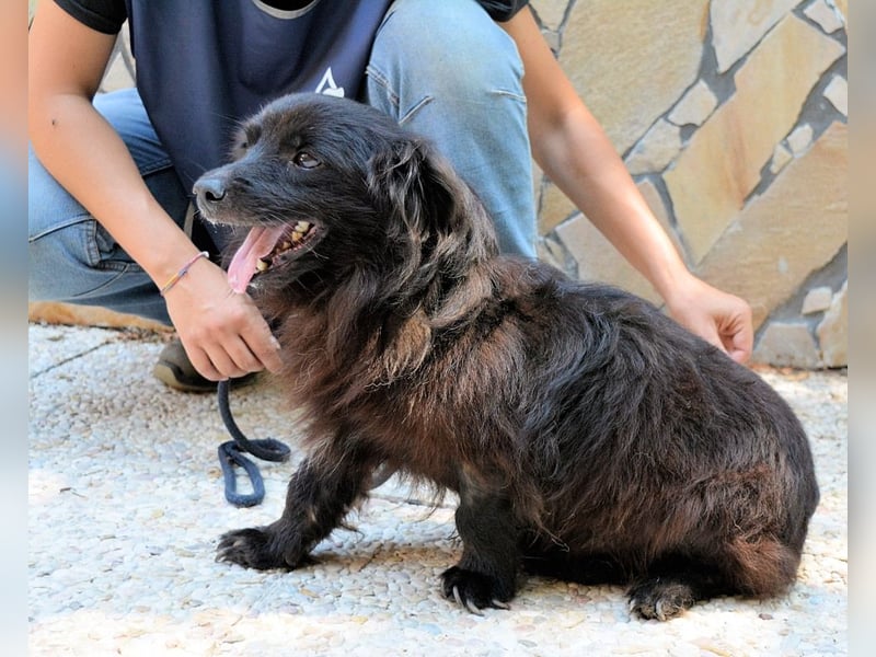 Gingy - Glühwürmchen-Power