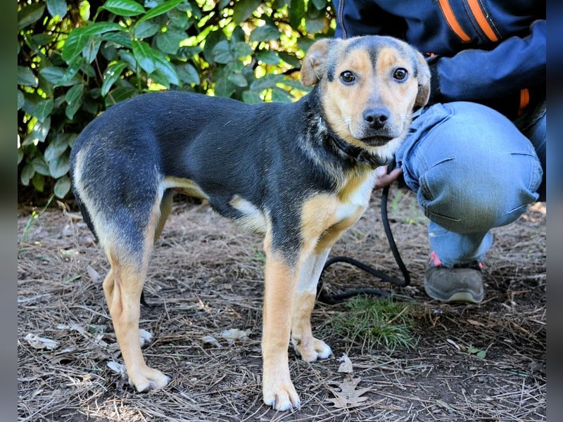 Coryelle - Wenn Schutz-Glitzer plötzlich "Pling" macht