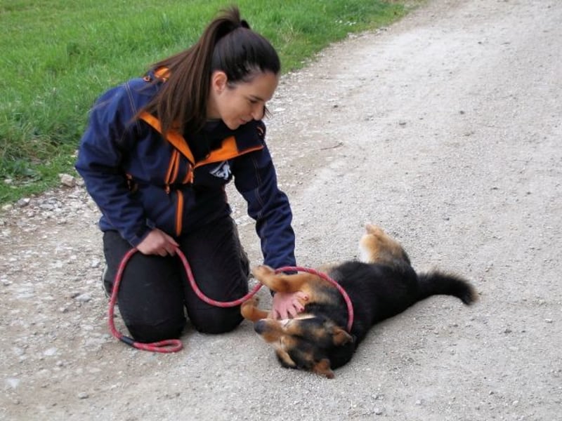 Macky - SOS - und sein Weg zurück ins Leben