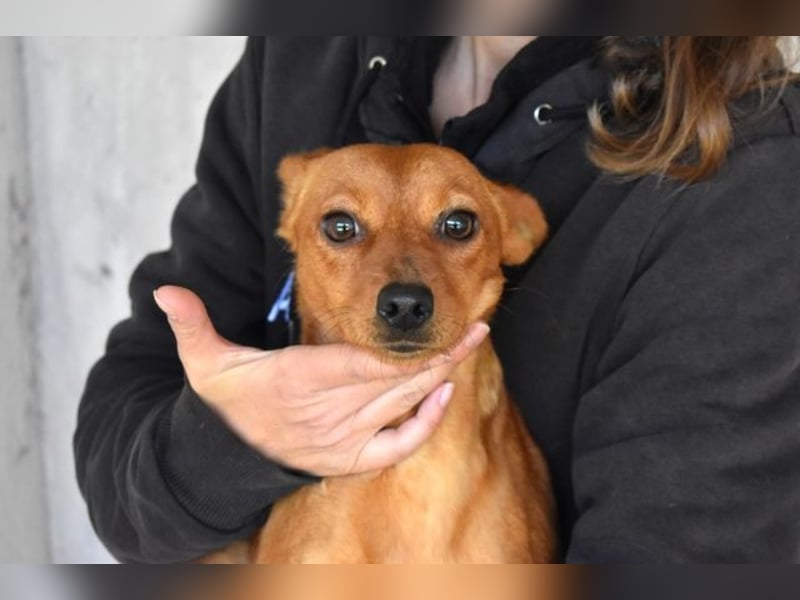 Thamira - " Nicht einmal...!"