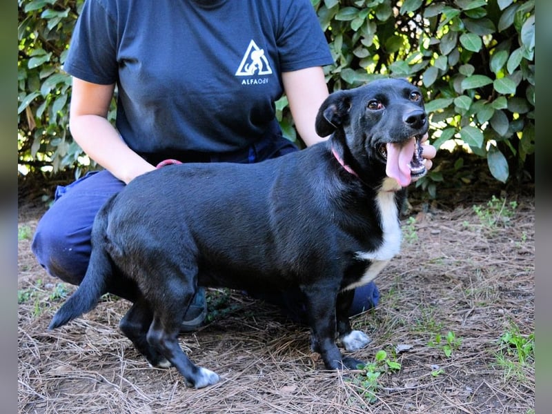 Nettie - was ne Wundertüte!