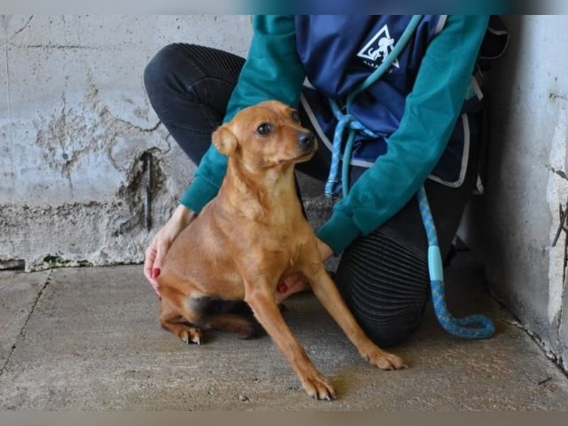 Thamira - " Nicht einmal...!"