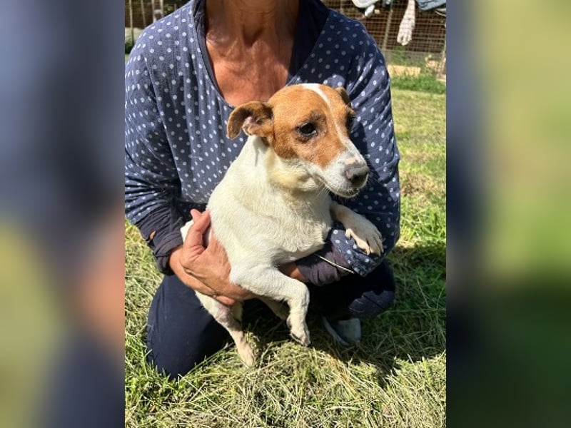 Rose - Wonneproppen möchte nun endlich leben