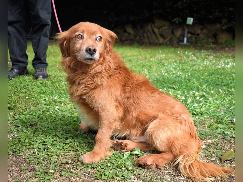 Telyr - "Test, Test, Test"