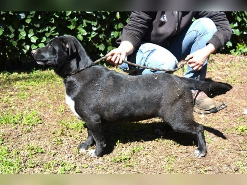 Nettie - was ne Wundertüte!