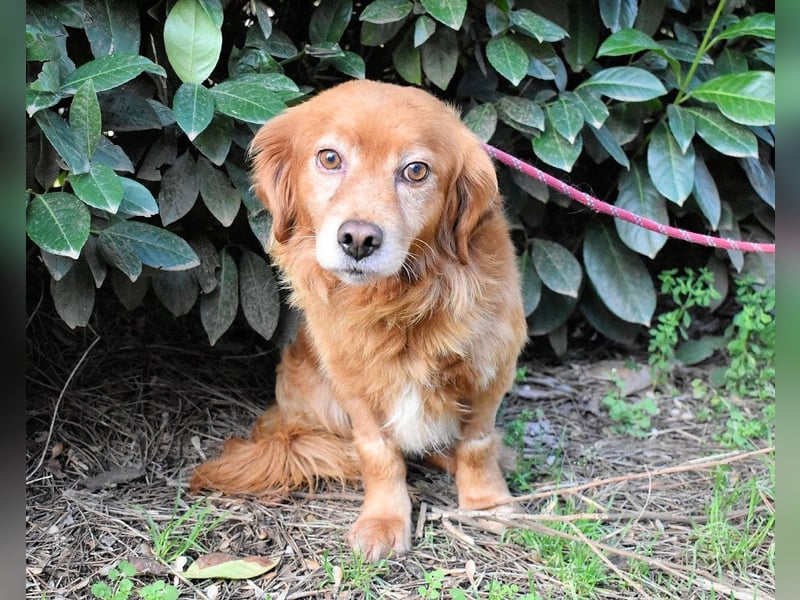 Telyr - "Test, Test, Test"