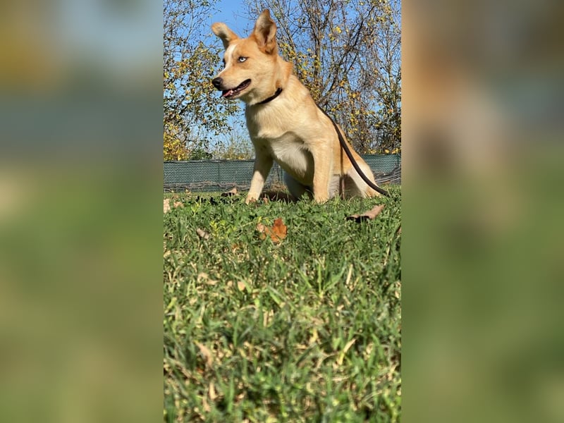 Valentina - Mit blitzblauen Augen die Welt neu entdecken