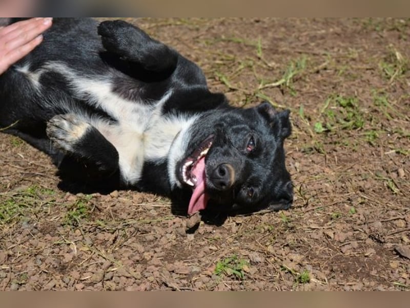 Nettie - was ne Wundertüte!