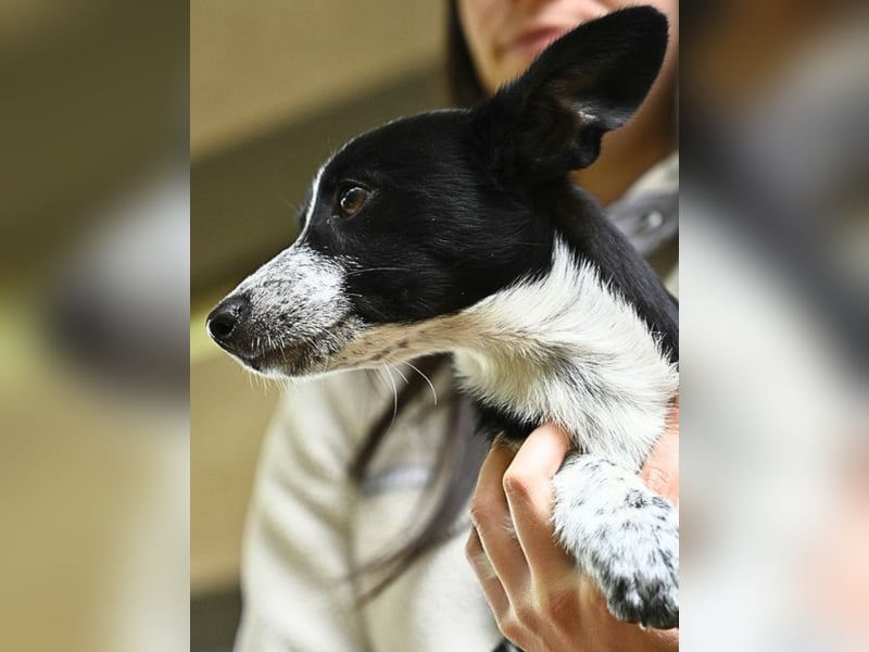 Paulina - was war, darf verblassen - damit Neues ganz langsam wachsen darf