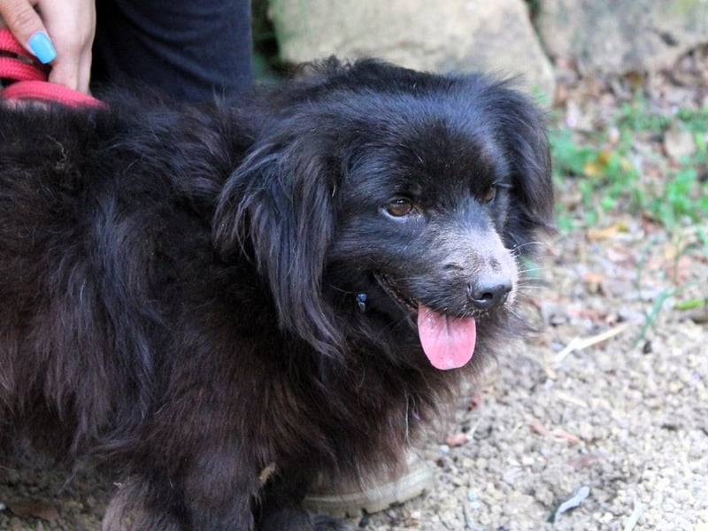 Gingy - Glühwürmchen-Power