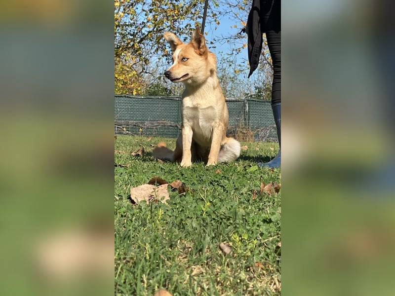 Valentina - Mit blitzblauen Augen die Welt neu entdecken