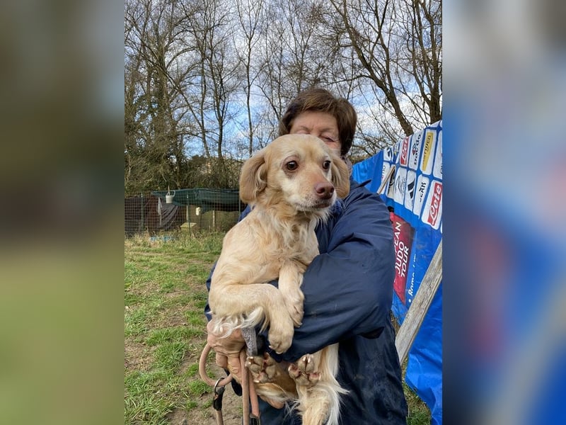 Rona - Vom Dunkel ans Licht