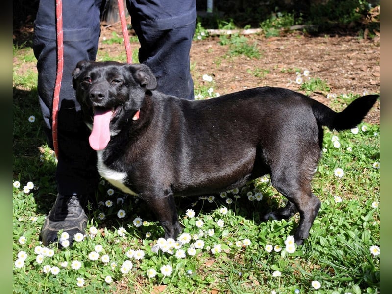 Nettie - was ne Wundertüte!