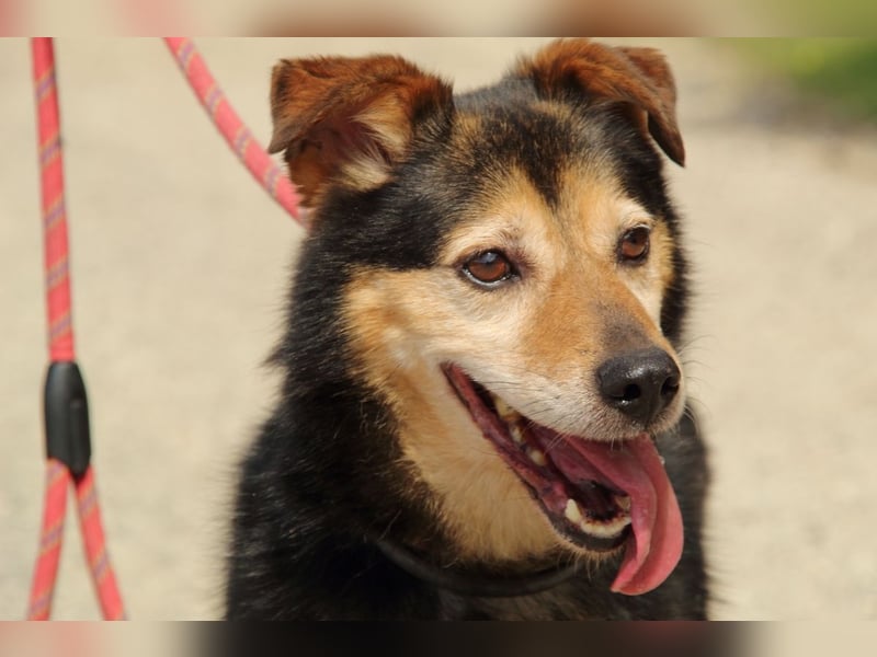 Macky - SOS - und sein Weg zurück ins Leben